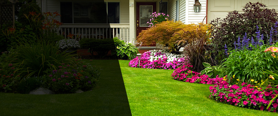Lithia Springs Landscapers