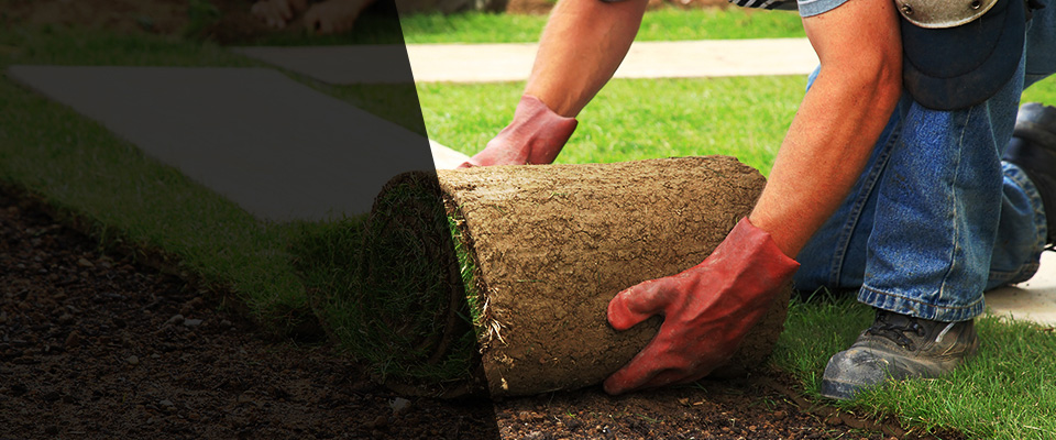 Lithia Springs Landscapers